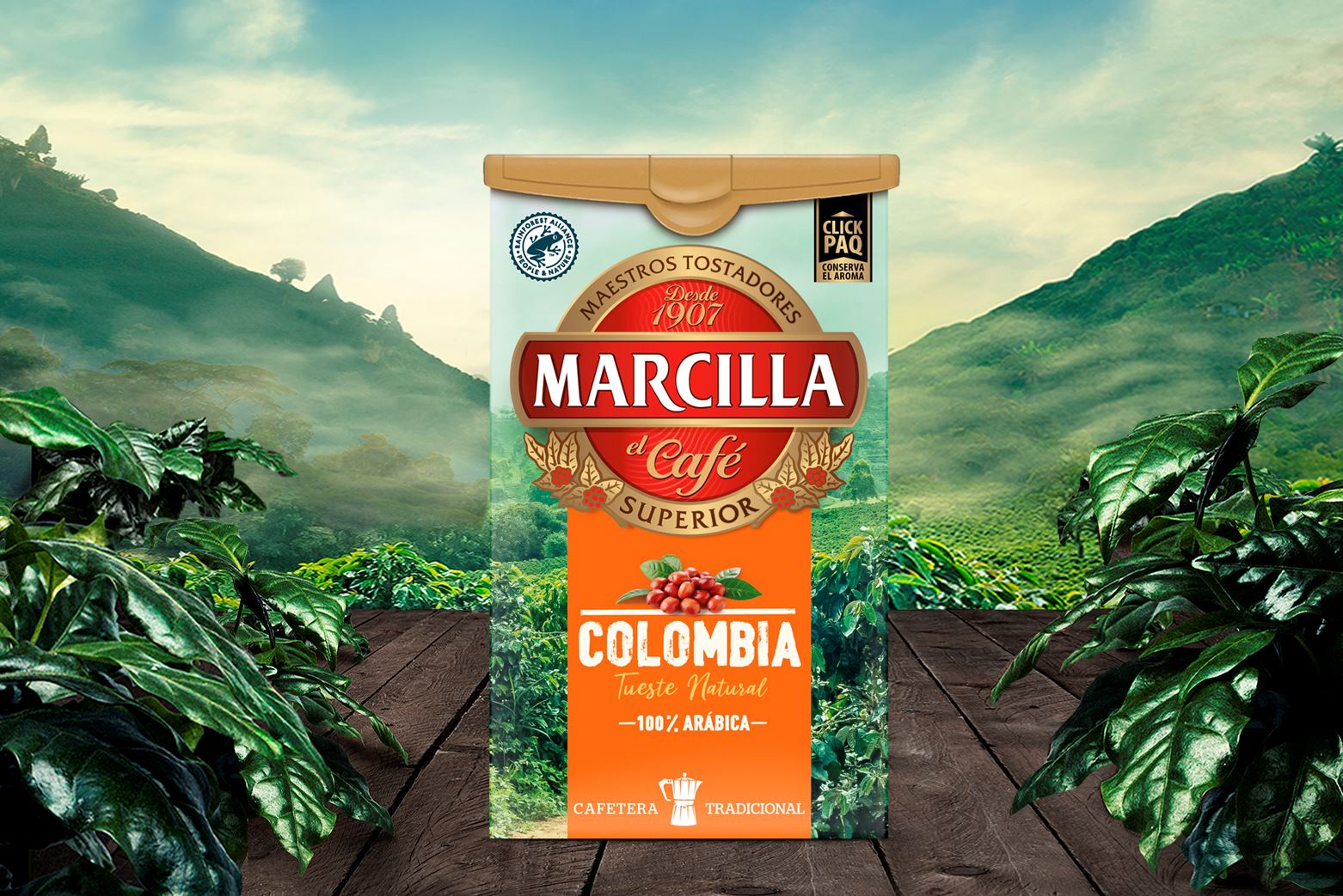 Caf Molido C psulas Caf En Grano Y Caf Soluble Marcilla